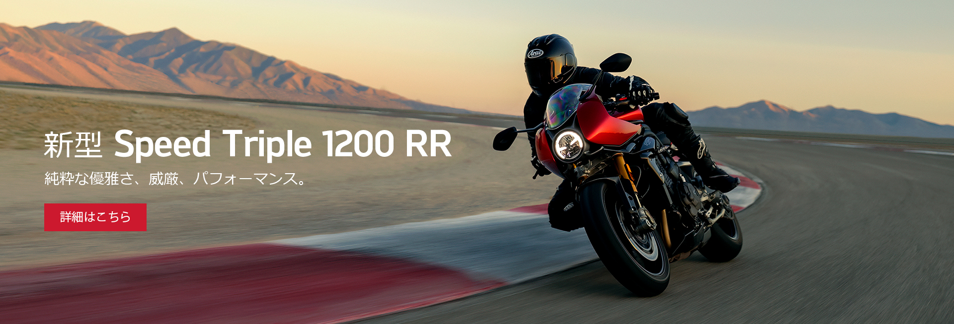 純粋な優雅さ、威厳、パフォーマンス 新型 Speed Triple 1200 RR